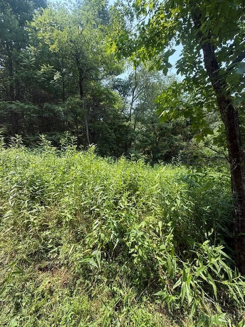 Image number 1 for the current listing
