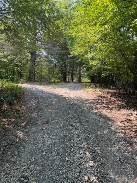 Image number 5 for the current listing