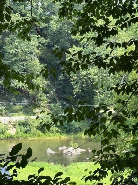 Image number 6 for the current listing
