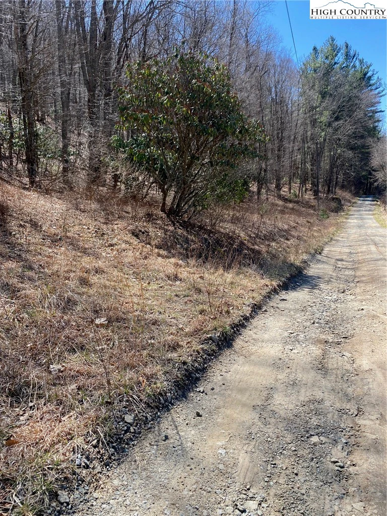 Image number 1 for the current listing