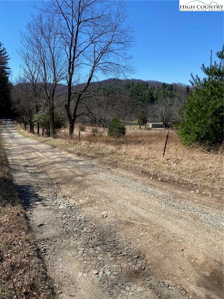 Image number 21 for the current listing