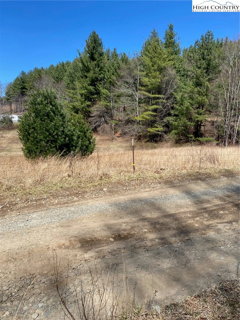 Image number 2 for the current listing