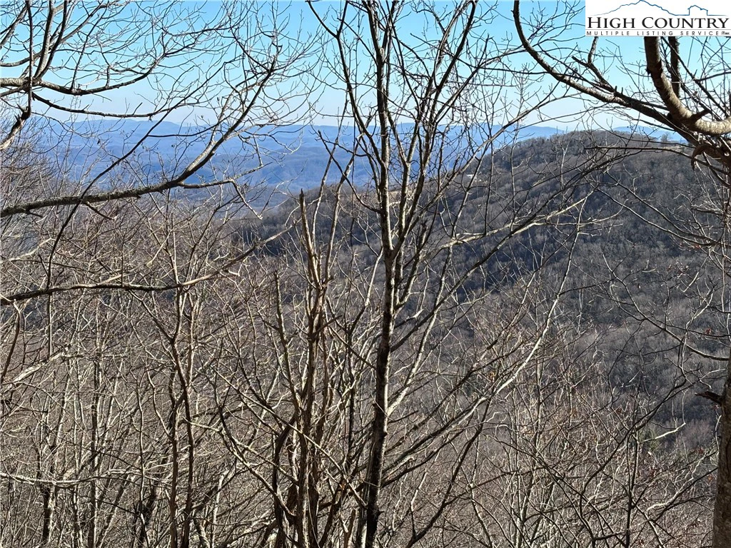 Image number 1 for the current listing