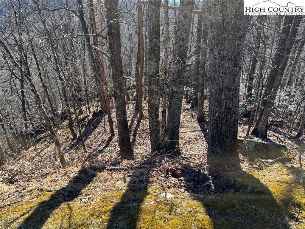 Image number 7 for the current listing
