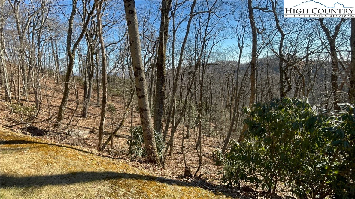 Image number 10 for the current listing