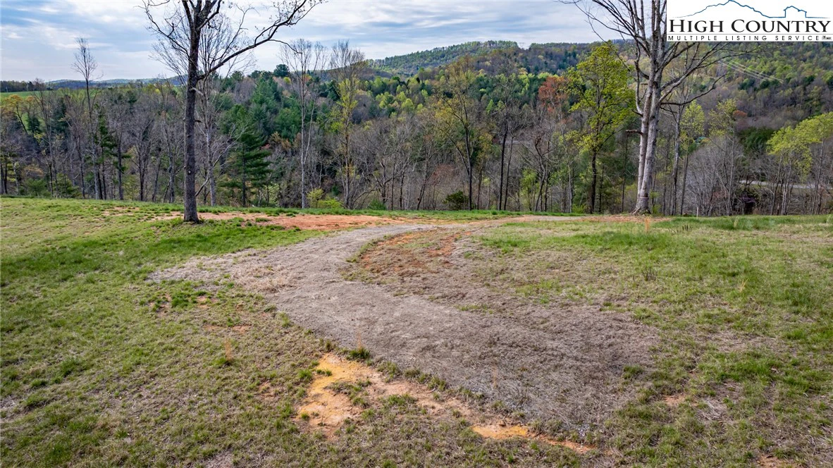 Image number 1 for the current listing