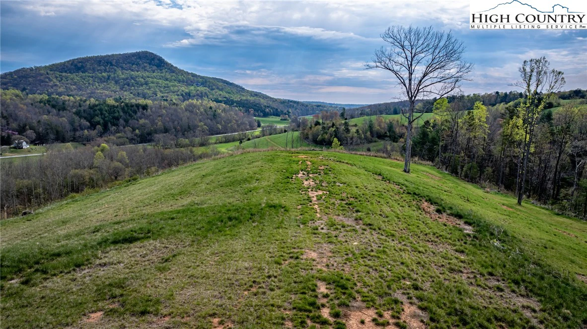 Image number 3 for the current listing