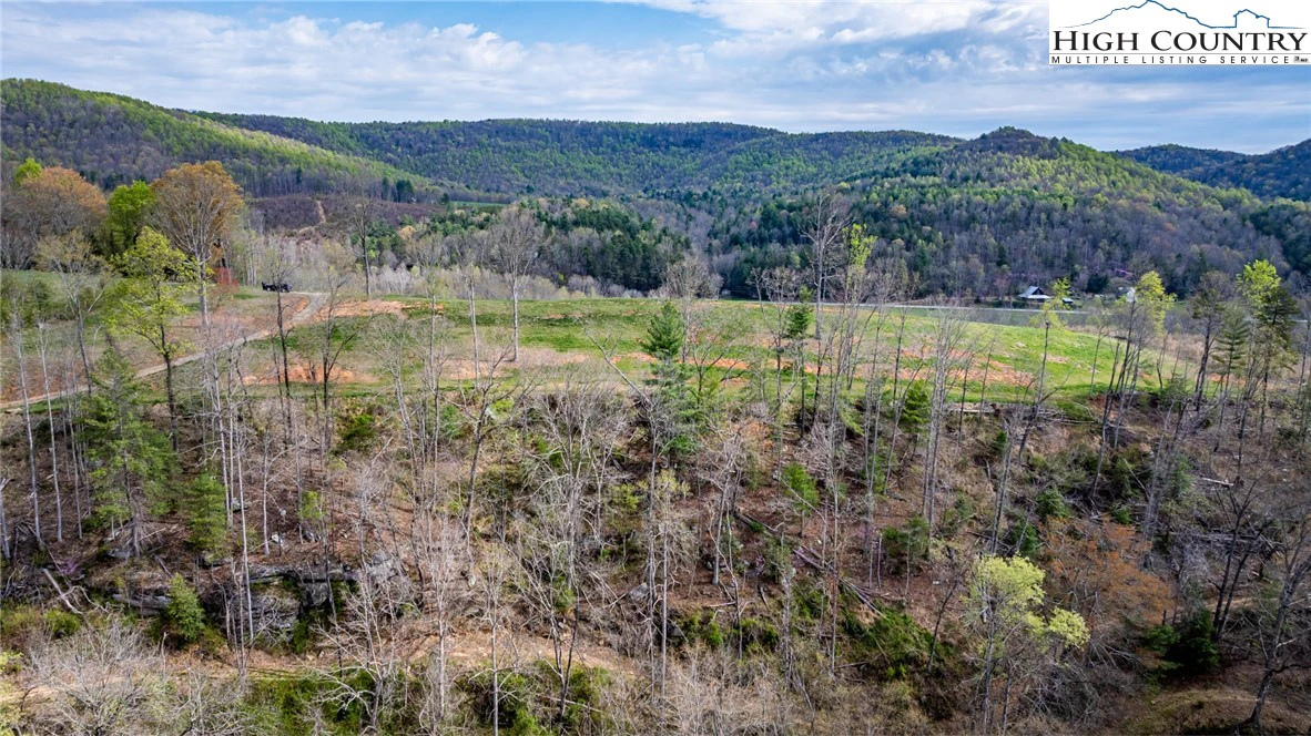 Image number 12 for the current listing