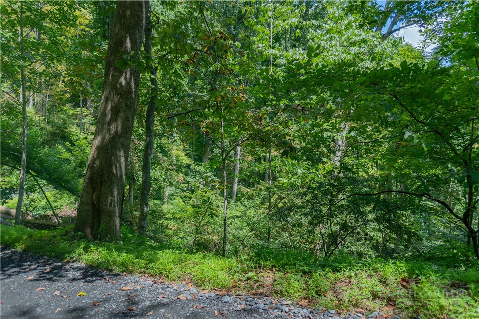 Image number 1 for the current listing