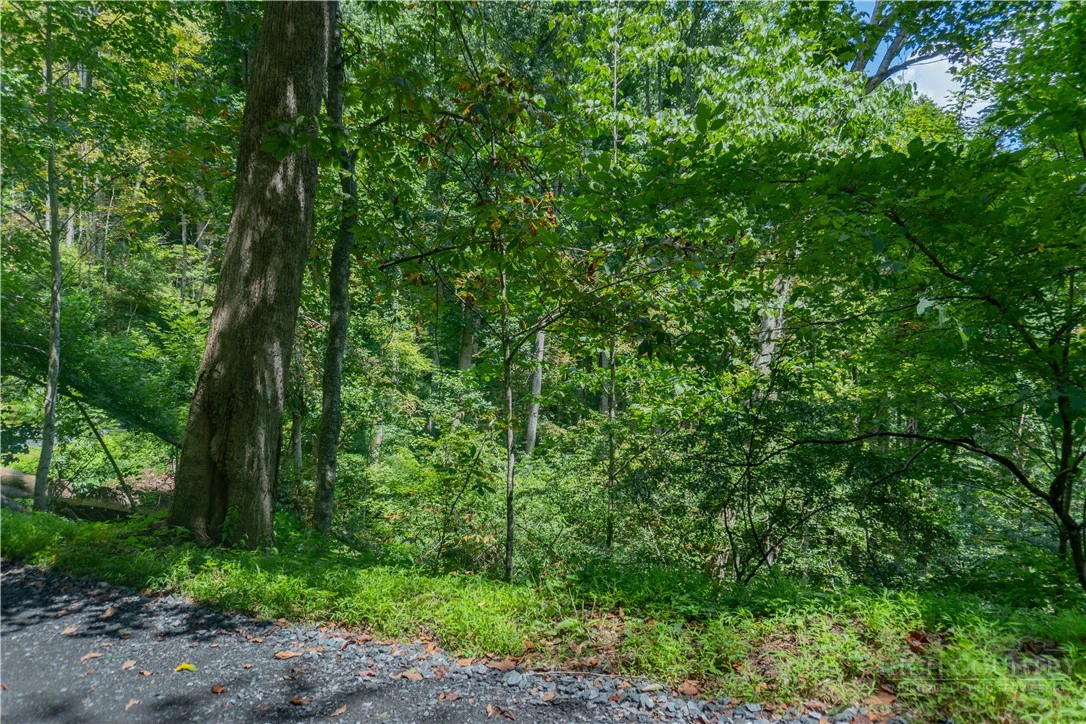 Image number 1 for the current listing