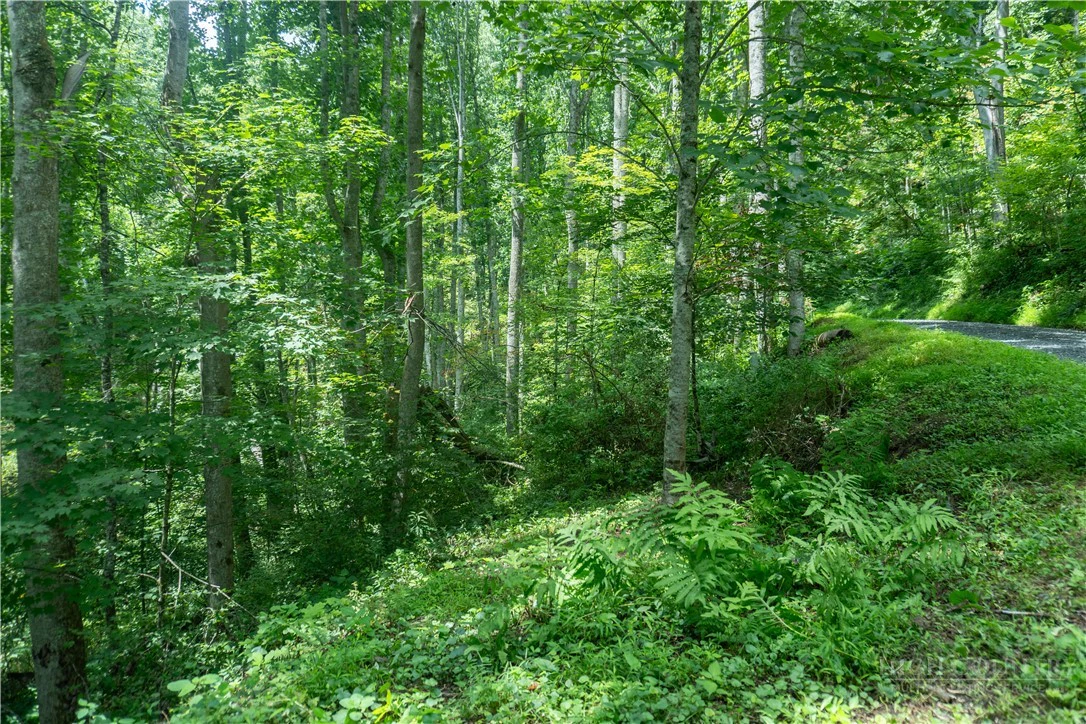 Image number 4 for the current listing