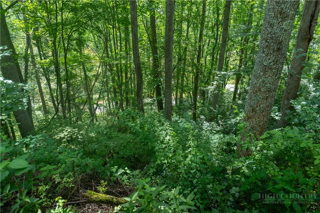 Image number 6 for the current listing