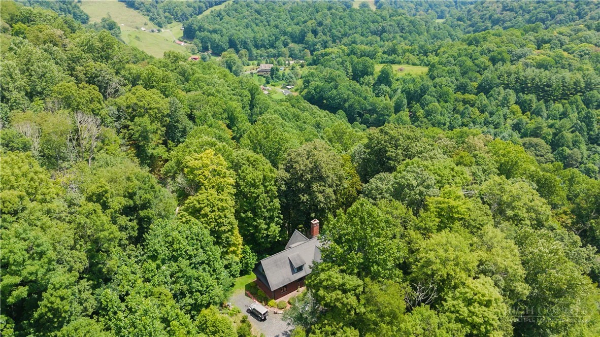Image number 7 for the current listing
