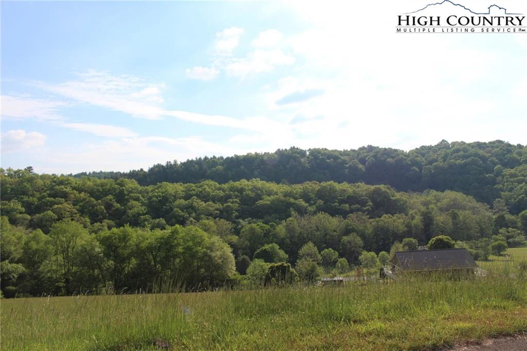 Image number 3 for the current listing