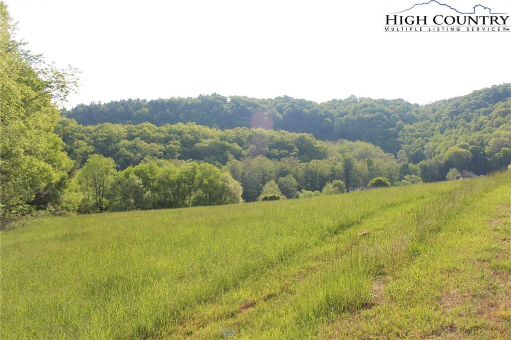 Image number 4 for the current listing