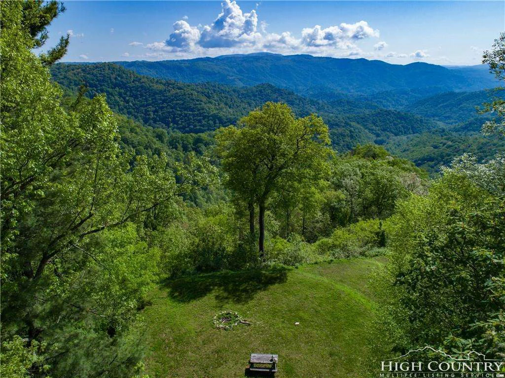 Image number 1 for the current listing