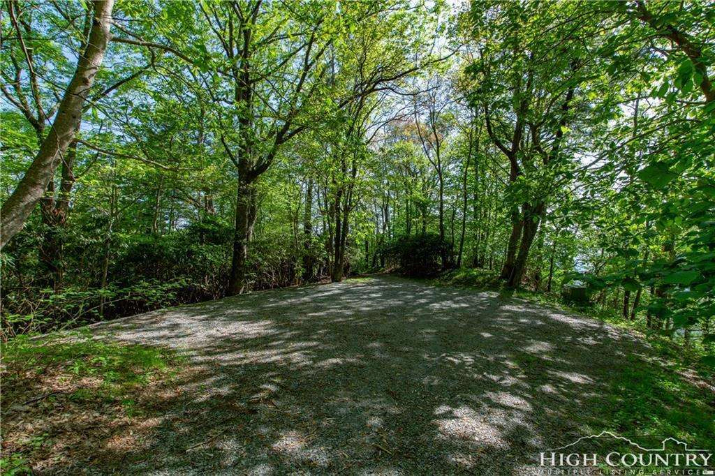 Image number 2 for the current listing