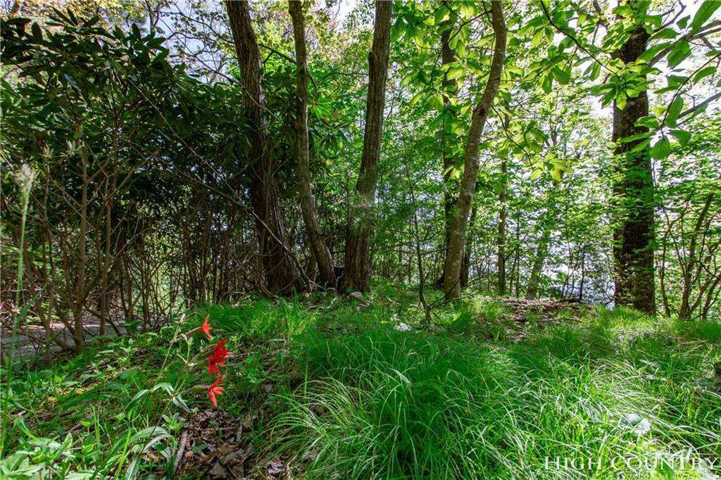 Image number 15 for the current listing