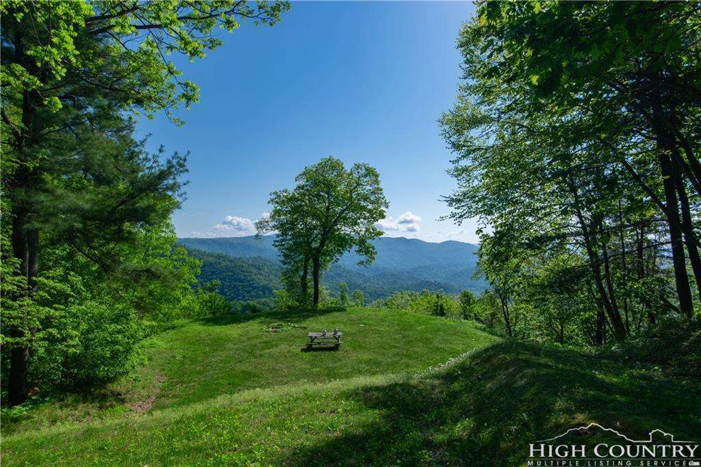 Image number 14 for the current listing