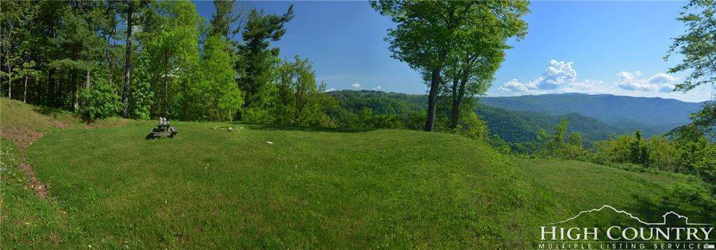 Image number 12 for the current listing