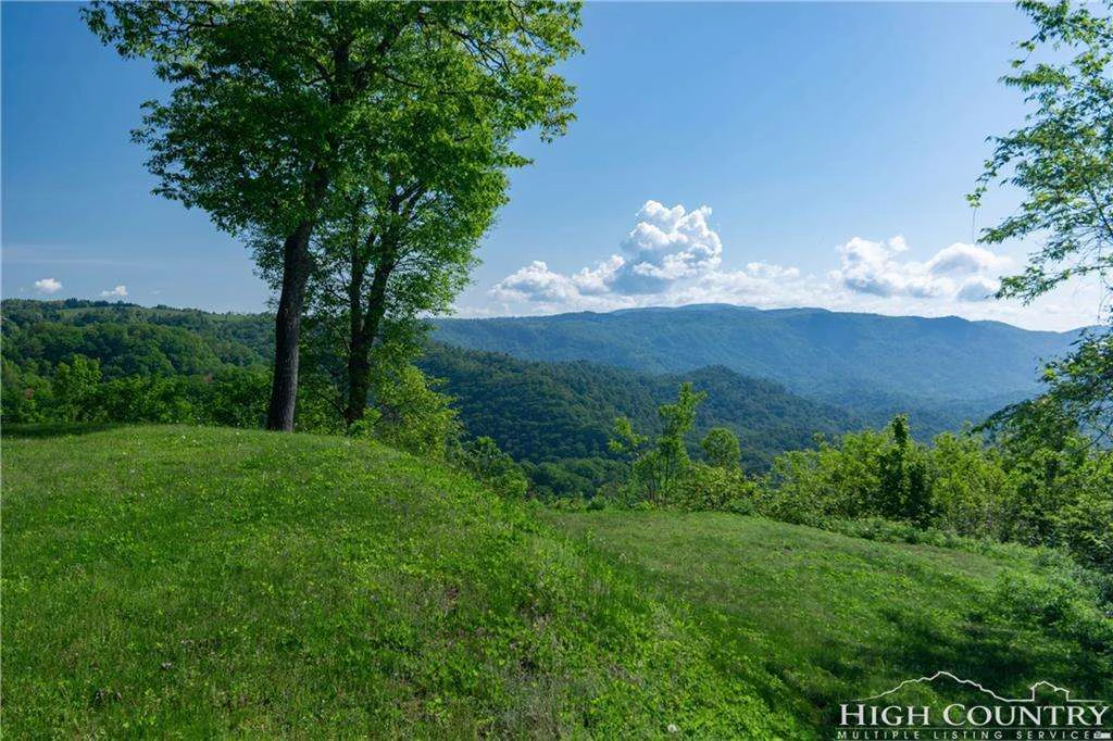Image number 11 for the current listing