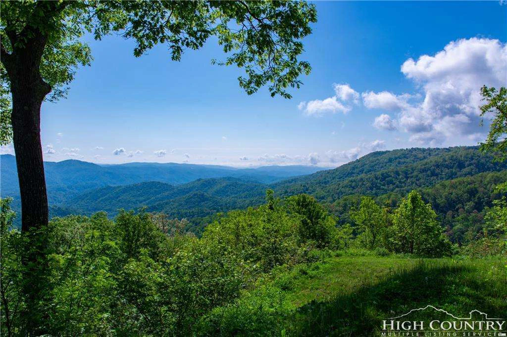 Image number 9 for the current listing