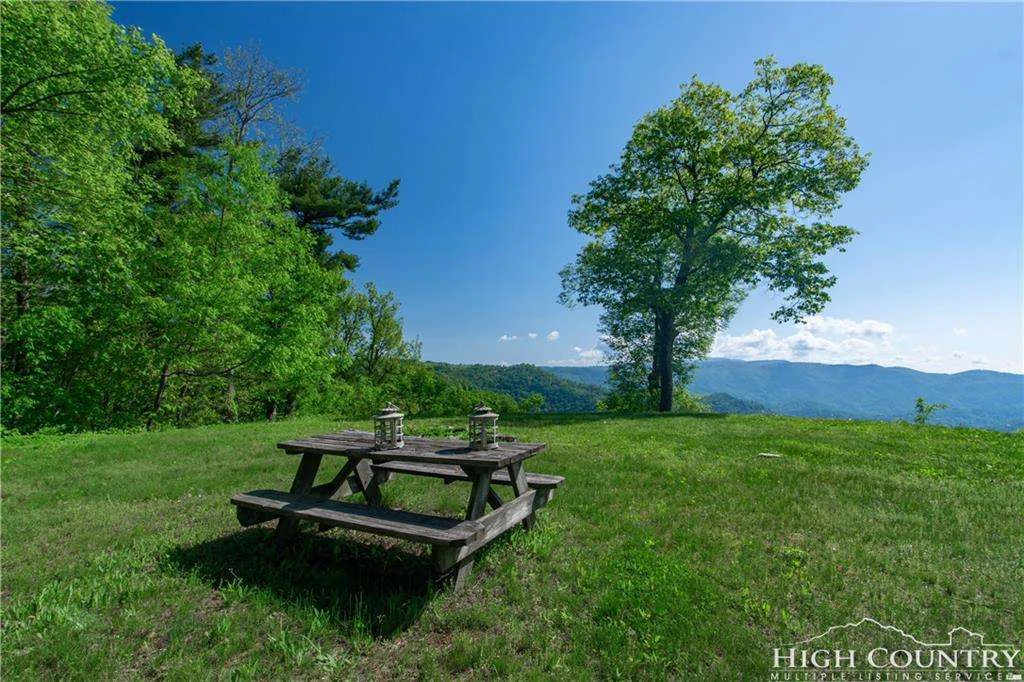 Image number 7 for the current listing