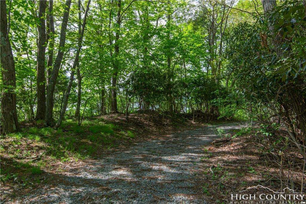Image number 4 for the current listing