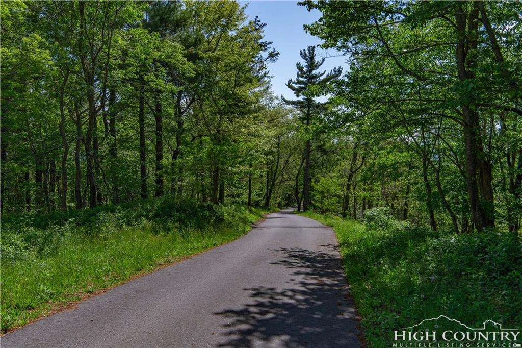 Image number 3 for the current listing
