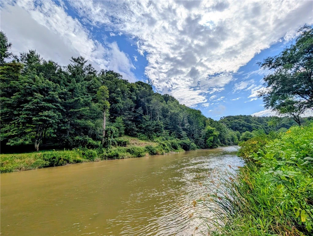 Image number 1 for the current listing