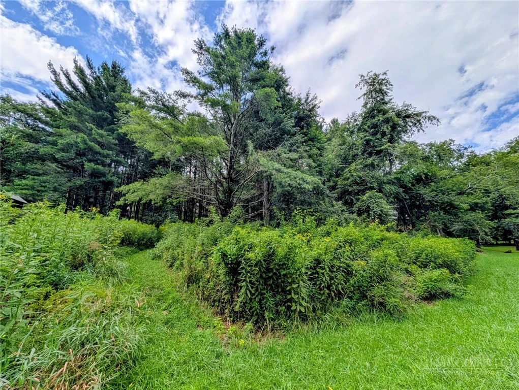 Image number 2 for the current listing