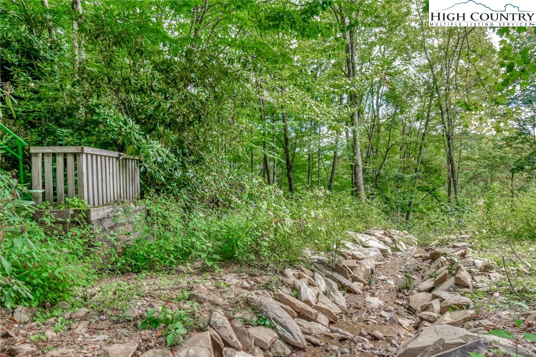 Image number 1 for the current listing