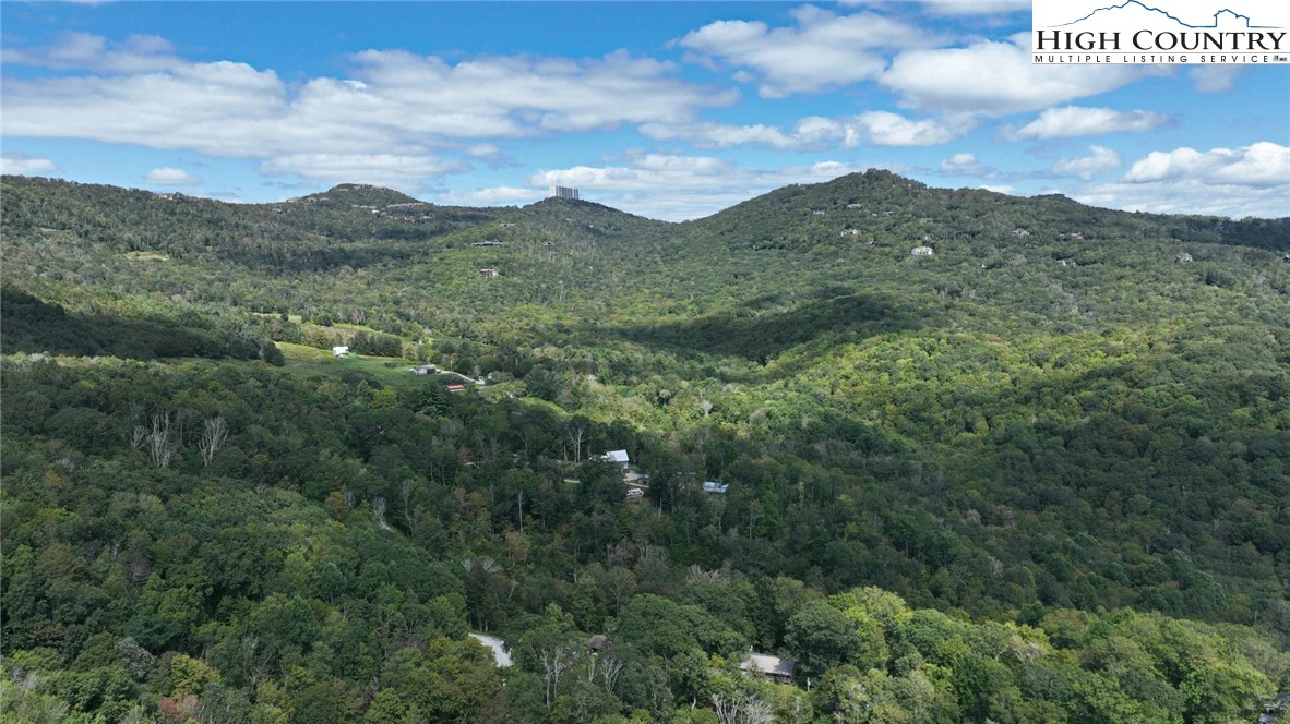 Image number 4 for the current listing