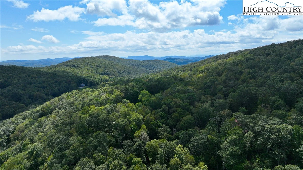 Image number 7 for the current listing