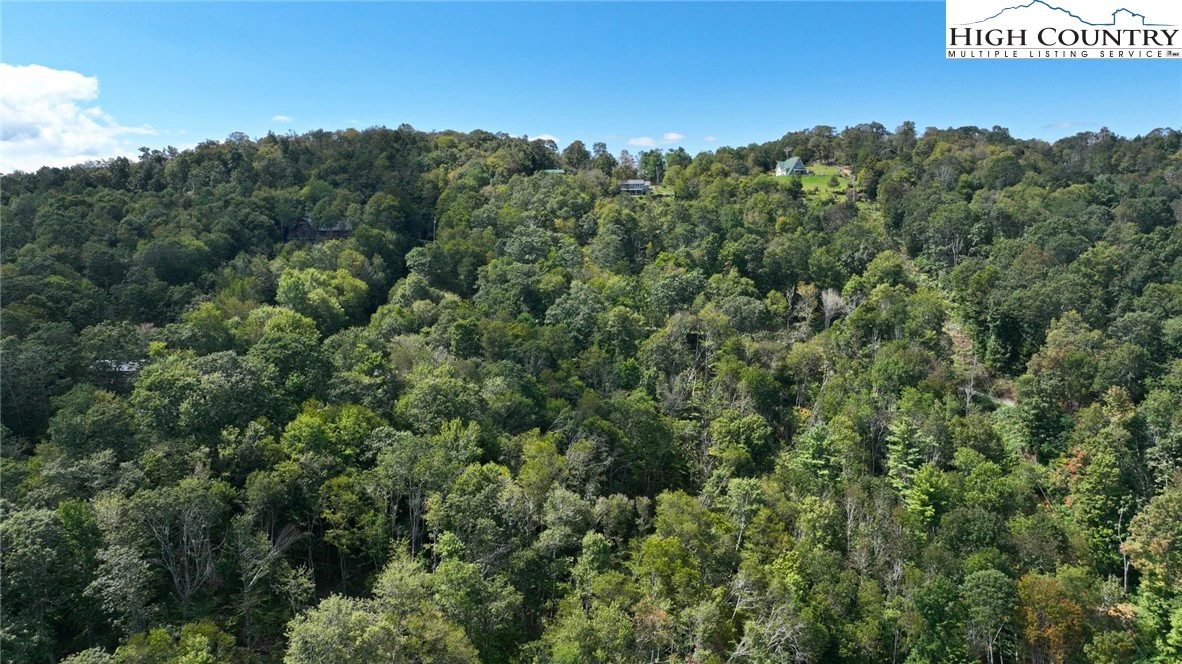 Image number 8 for the current listing