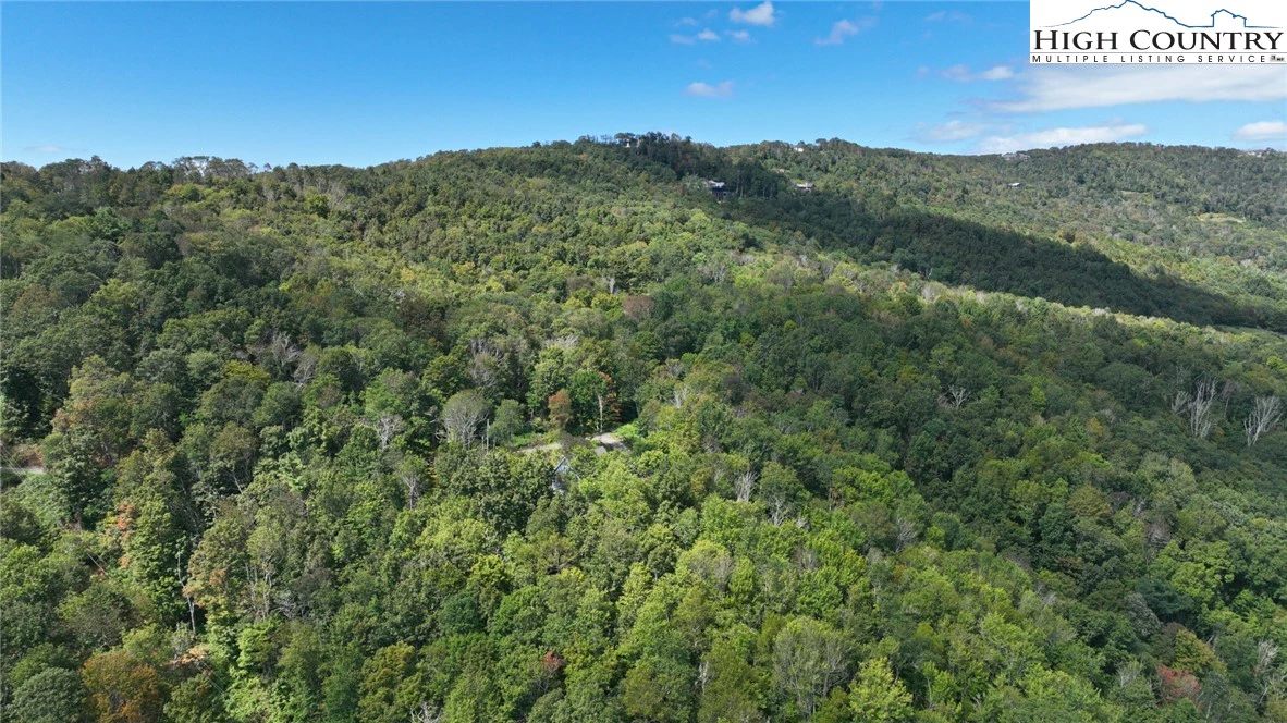 Image number 9 for the current listing
