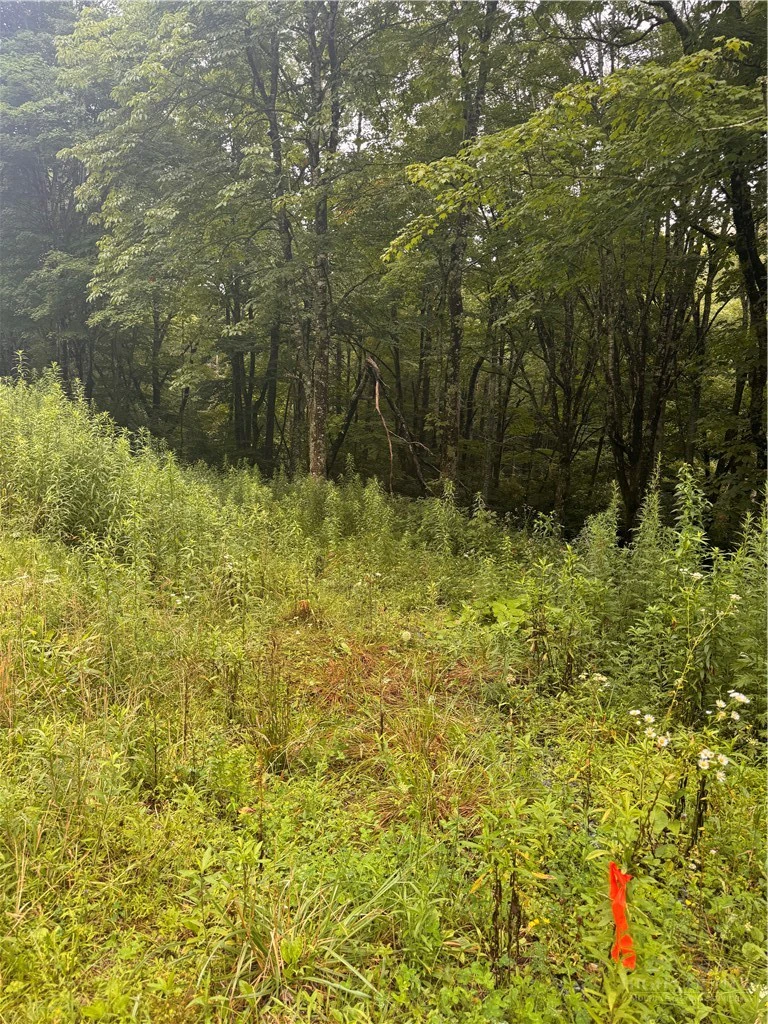 Image number 2 for the current listing