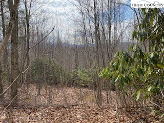 Image number 4 for the current listing