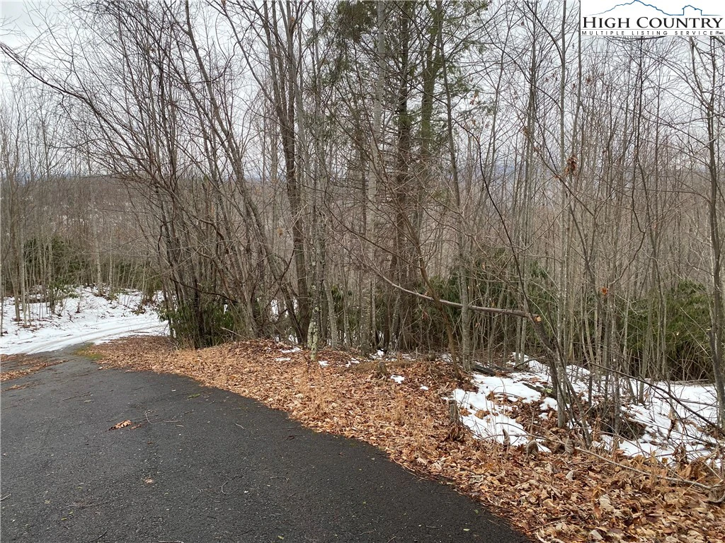 Image number 1 for the current listing