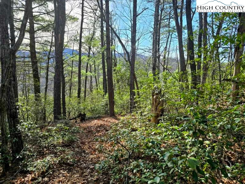 Image number 1 for the current listing