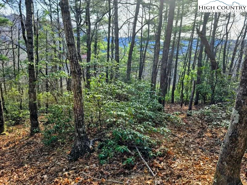 Image number 6 for the current listing