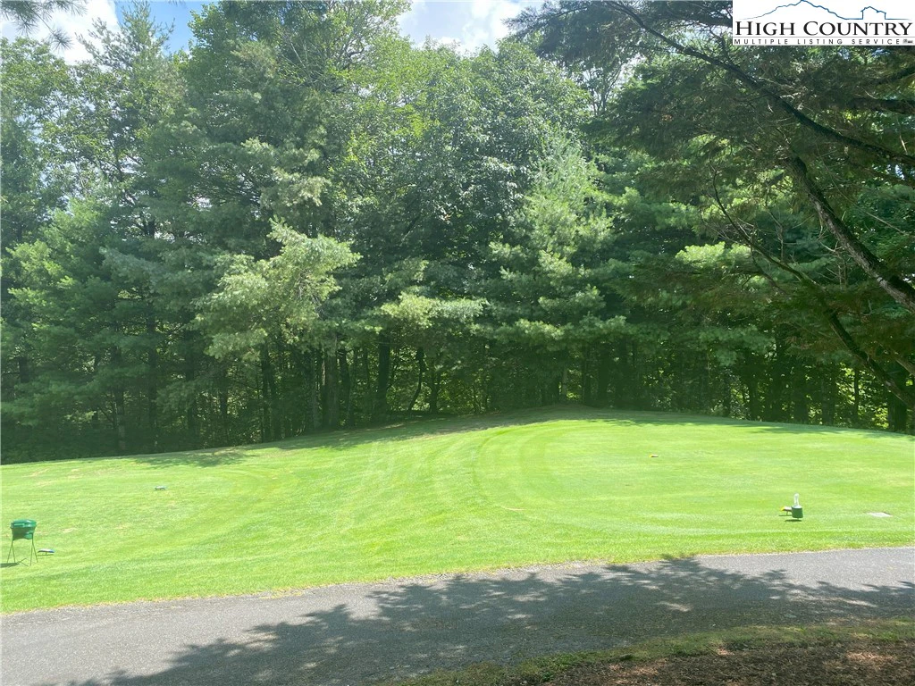 Image number 1 for the current listing