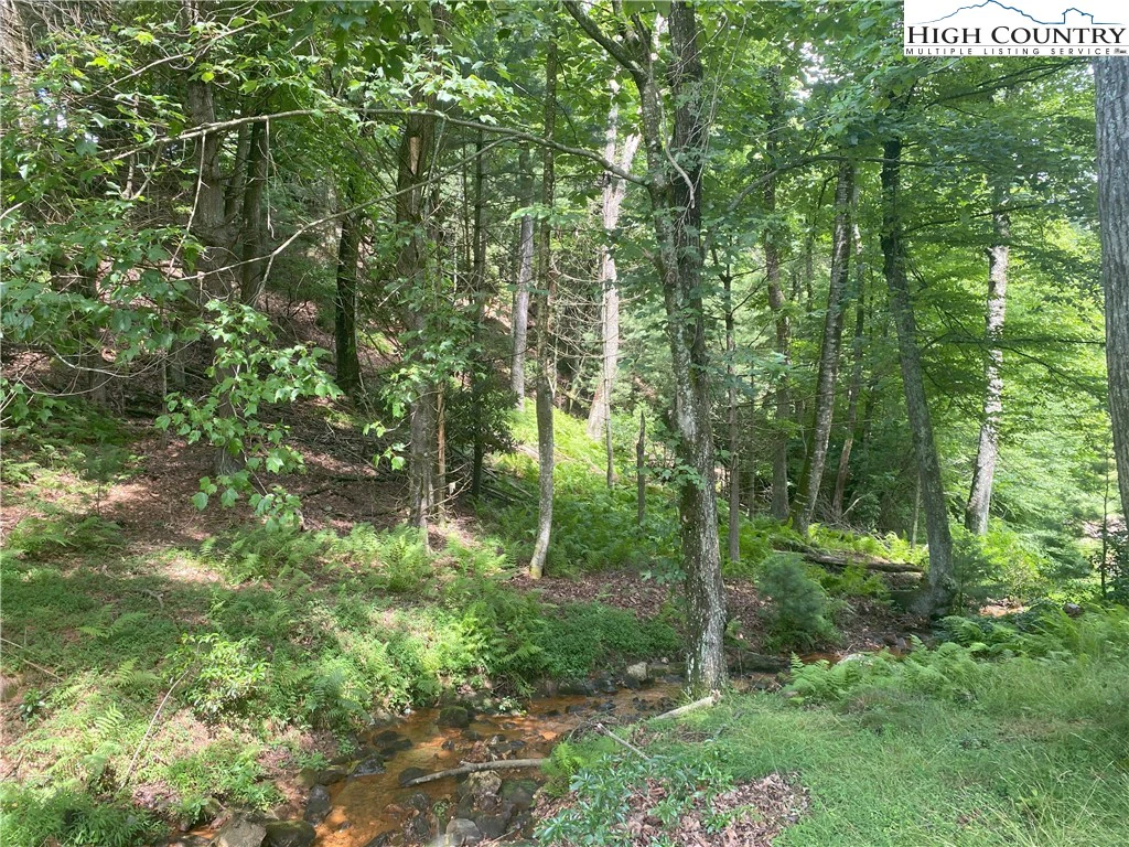 Image number 3 for the current listing