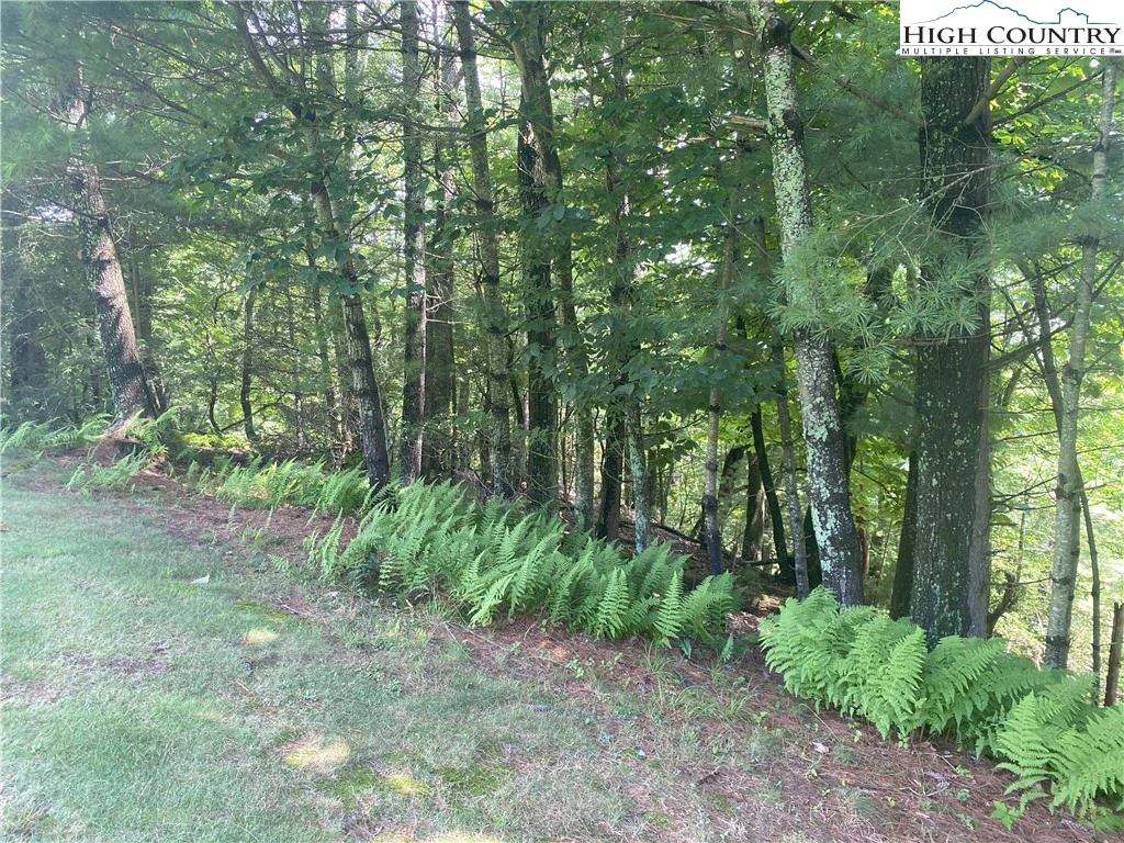 Image number 4 for the current listing