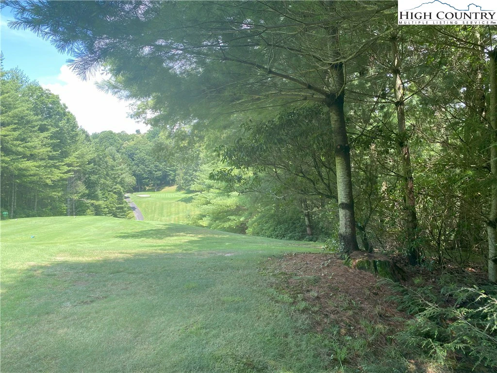 Image number 5 for the current listing