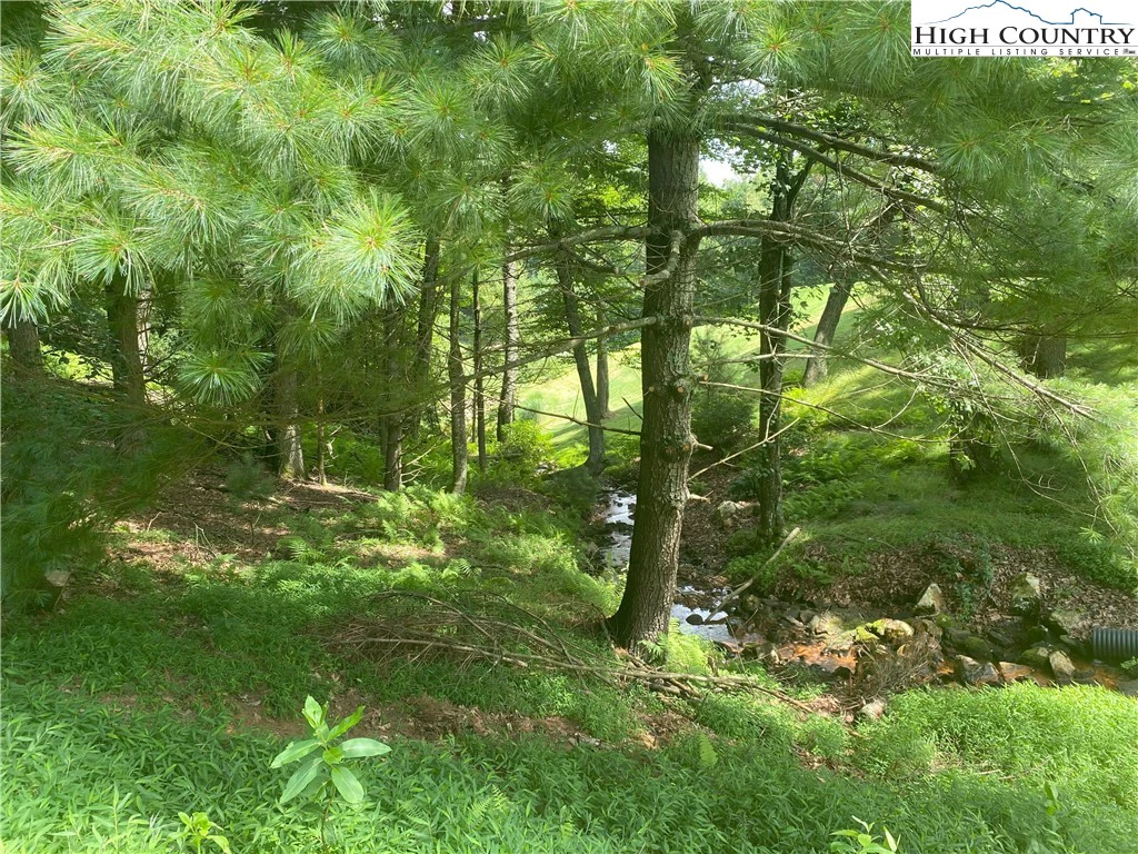 Image number 6 for the current listing