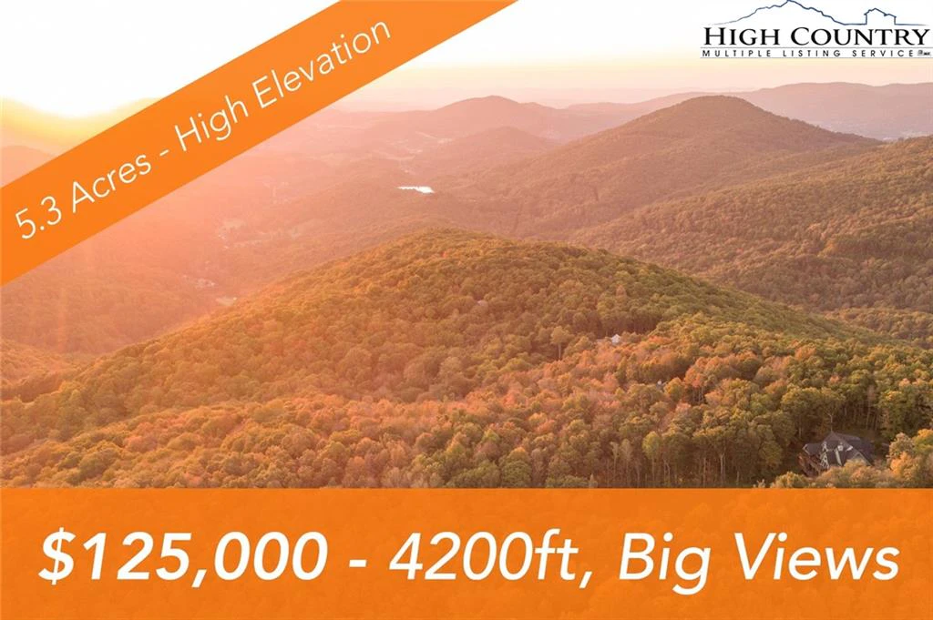 Image number 1 for the current listing