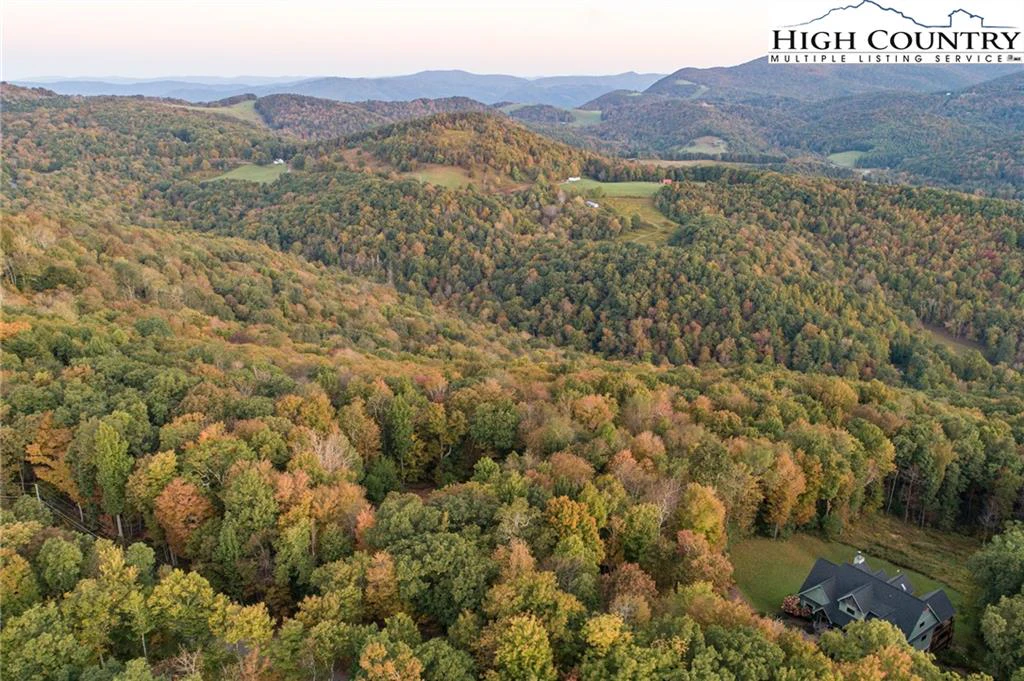 Image number 11 for the current listing