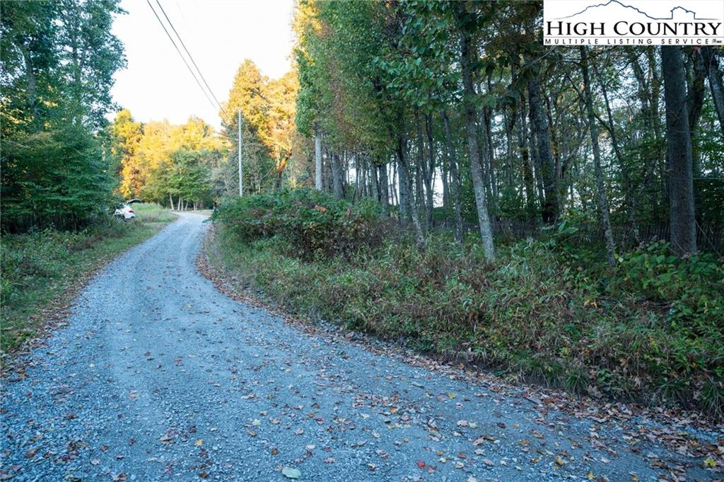 Image number 4 for the current listing