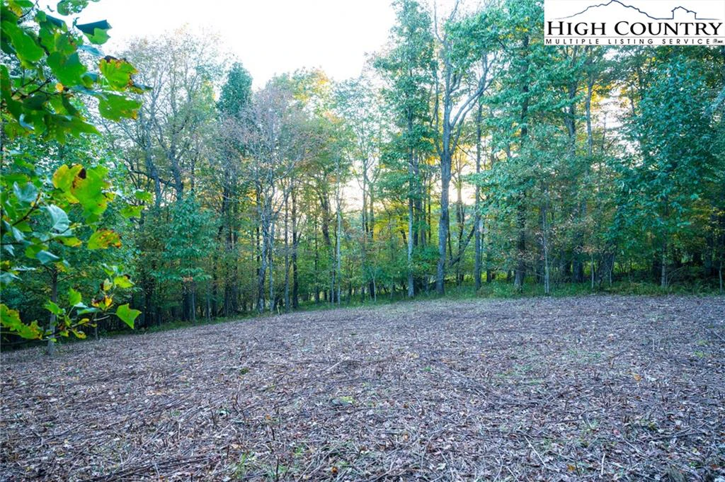 Image number 9 for the current listing